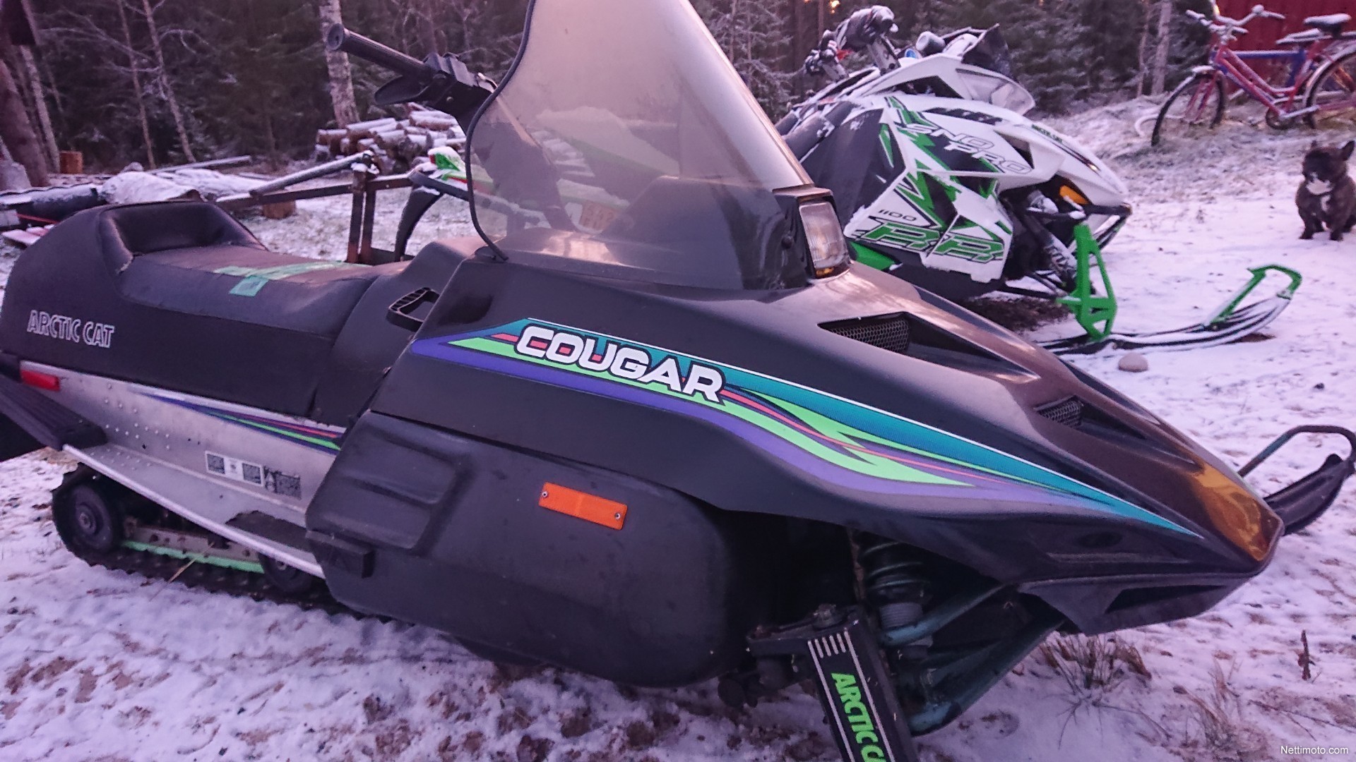 Arctic Cat Cougar 440 LC 450 cm³ 1993 Merijärvi Moottorikelkka