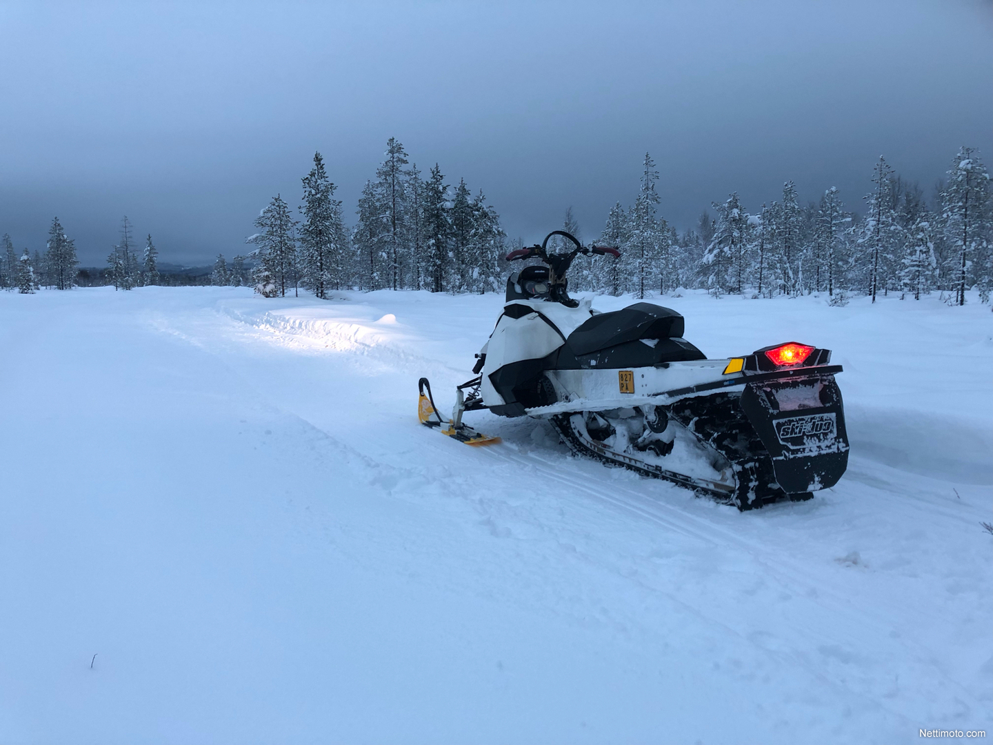 Ski-Doo Freeride 146 800 e-tec 800 cm³ 2012 - Pelkosenniemi