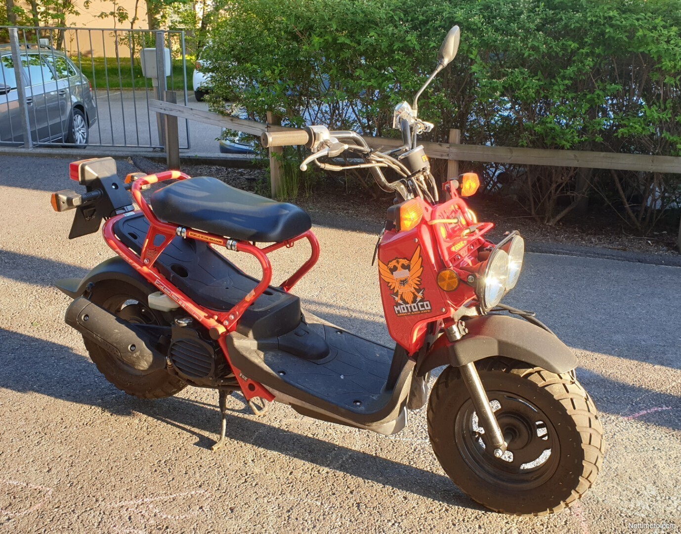 Фото honda zoomer