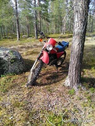 Suzuki DR