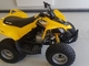 Can-Am DS
