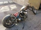 Harley-Davidson -