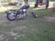 Harley-Davidson Shovel