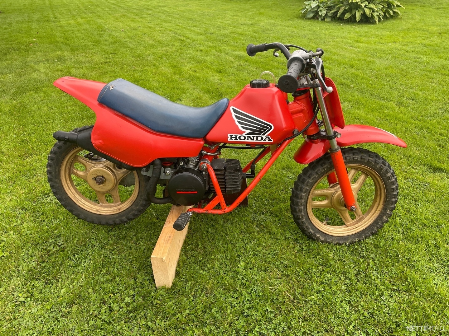 Honda qr 50