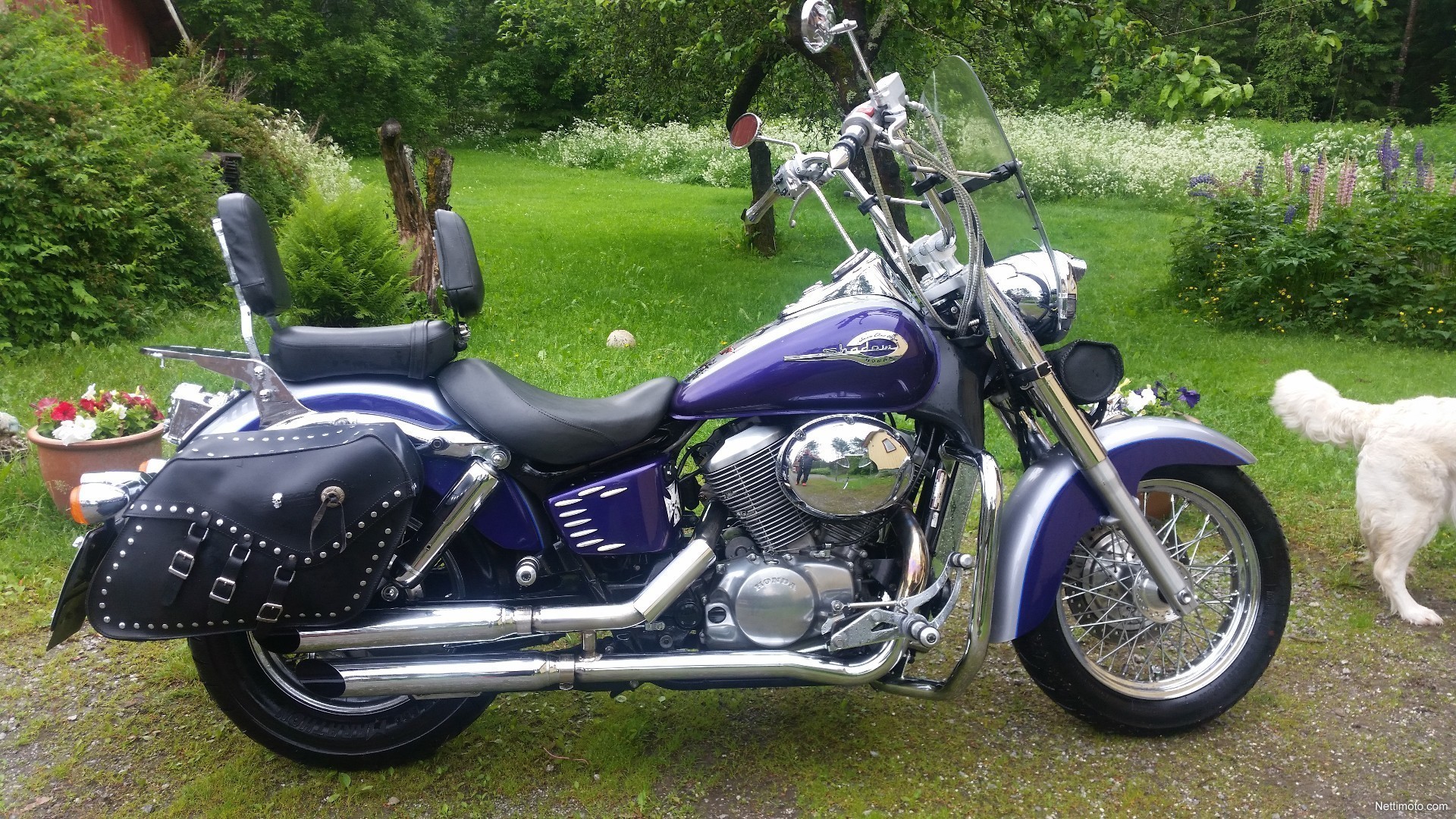 Honda shadow модельный ряд