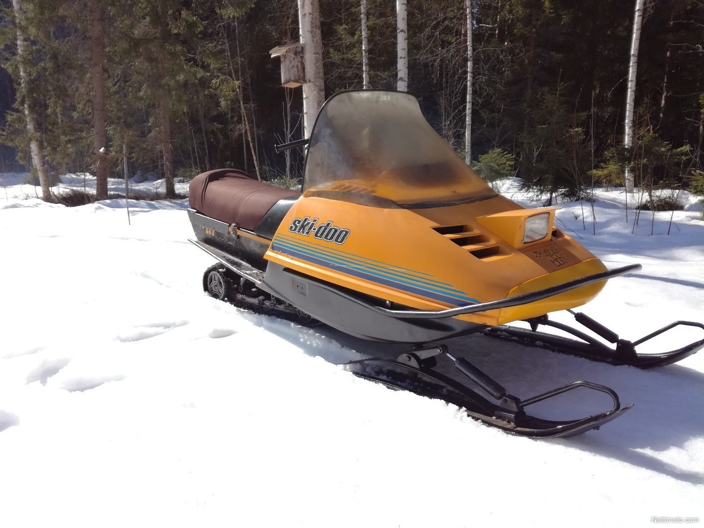 Enlarge image. Ski-Doo Safari