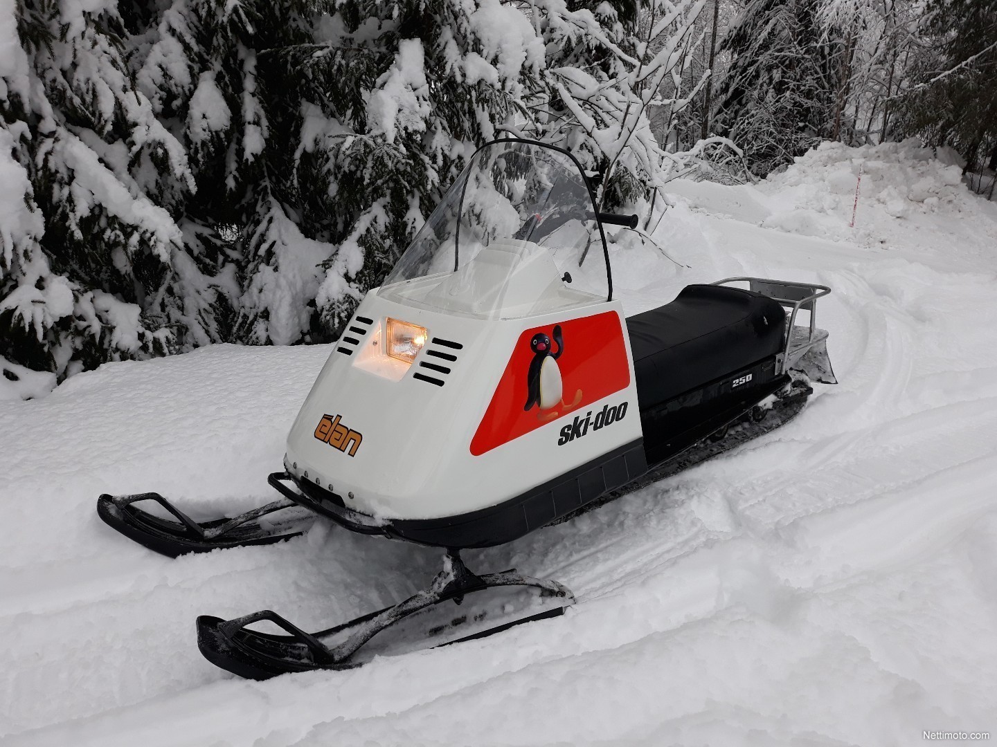 Ski-Doo Elan 250 cm³ 1983 - Joensuu - Snow Mobile - Nettimoto