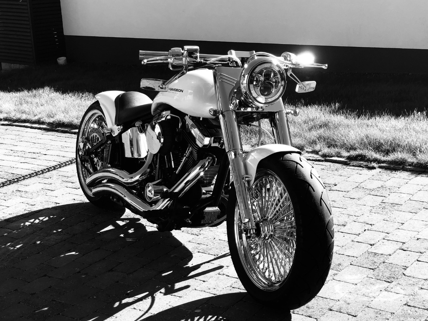  Harley Davidson Softail FLSTF Fat Boy 1 400 cm 2019 