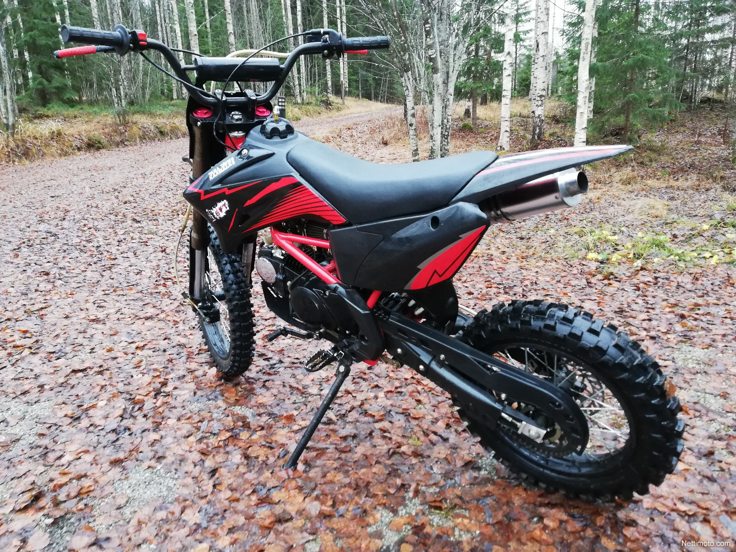 apollo orion 50cc