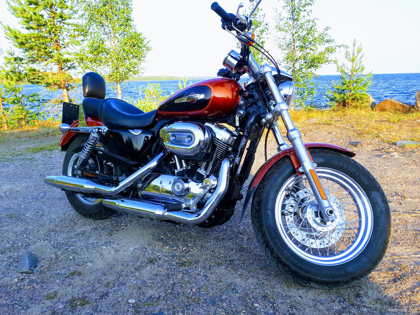Harley-Davidson Sportster XL 1200 C Sportster Custom 1 200 ...