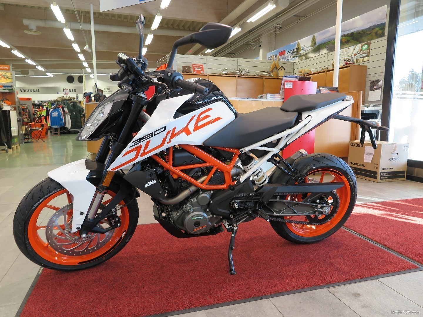duke 500 cc